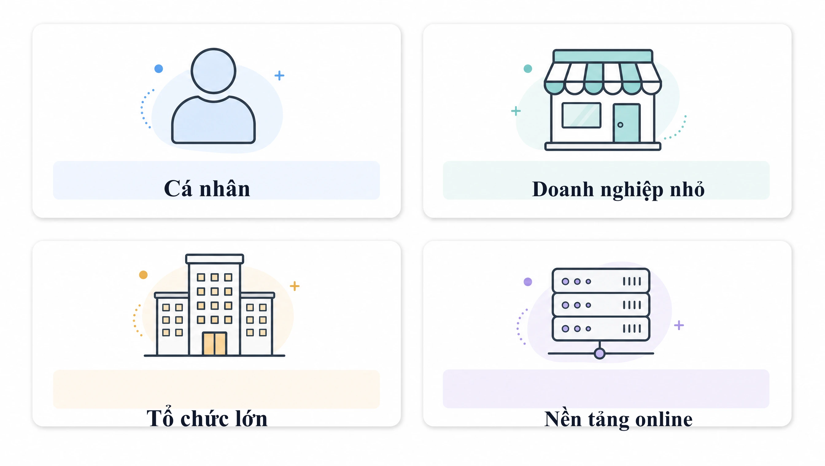 Tóm lược các mốc luật bản quyền phần mềm Việt Nam 5/2026 và nhóm đối tượng bị kiểm tra